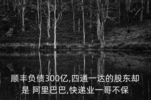 順豐負債300億,四通一達的股東卻是 阿里巴巴,快遞業(yè)一哥不保