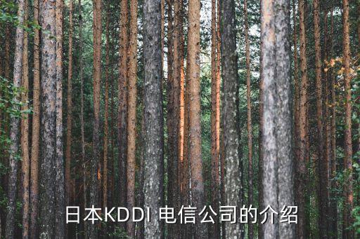 日本KDDI 電信公司的介紹