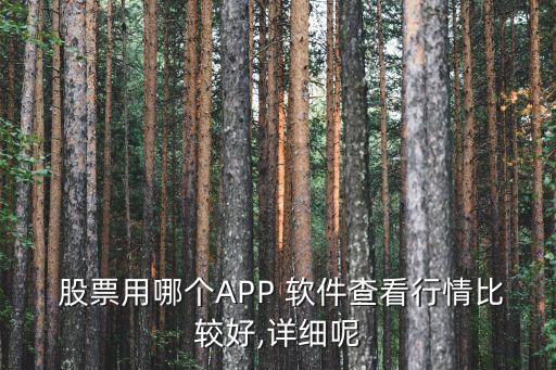  股票用哪個APP 軟件查看行情比較好,詳細呢