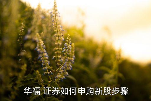  華福 證券如何申購新股步驟