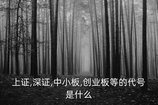 上證,深證,中小板,創(chuàng)業(yè)板等的代號(hào)是什么