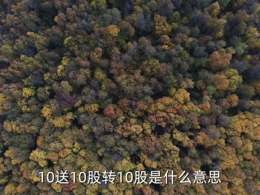 10送10股轉(zhuǎn)10股是什么意思