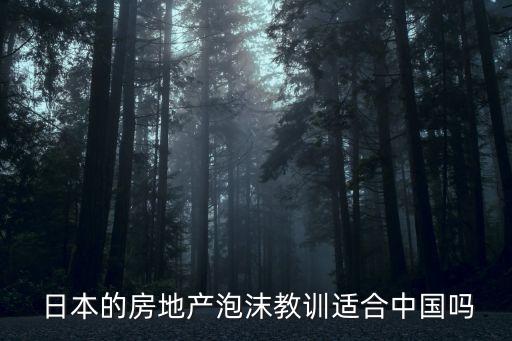  日本的房地產(chǎn)泡沫教訓(xùn)適合中國嗎