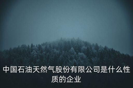 中國(guó)石油天然氣股份有限公司是什么性質(zhì)的企業(yè)