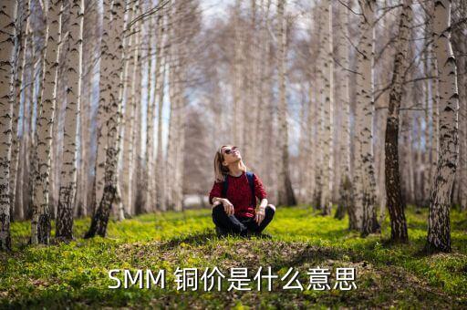 SMM 銅價(jià)是什么意思