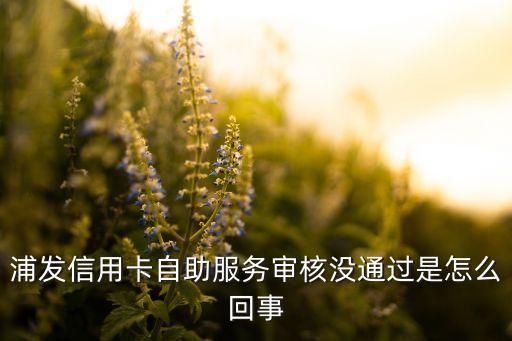 浦發(fā)信用卡自助服務(wù)審核沒通過是怎么回事