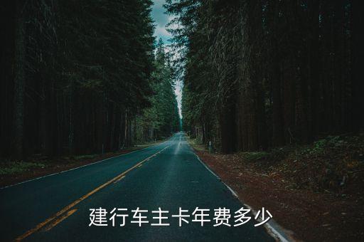 建行車主卡年費多少