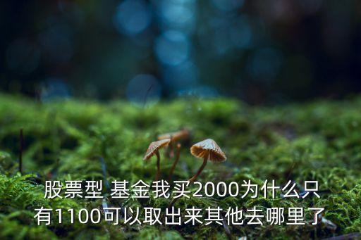  股票型 基金我買2000為什么只有1100可以取出來其他去哪里了