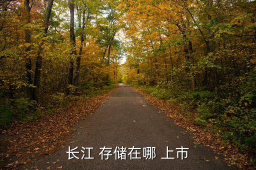 長(zhǎng)江 存儲(chǔ)在哪 上市