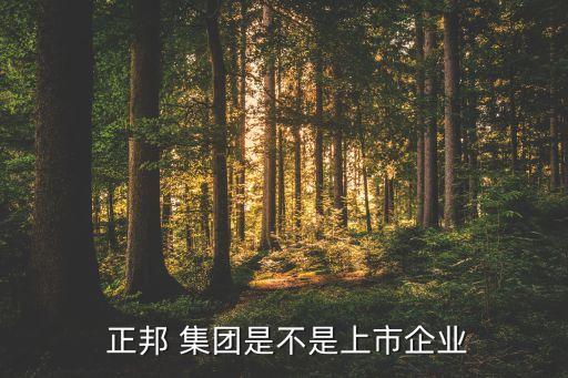 深圳正邦集團(tuán),正邦集團(tuán)最新消息經(jīng)濟(jì)狀況