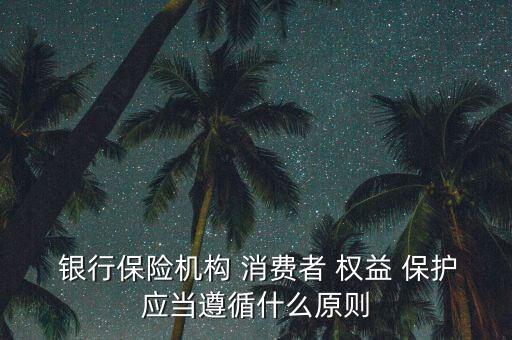  銀行保險機構 消費者 權益 保護應當遵循什么原則