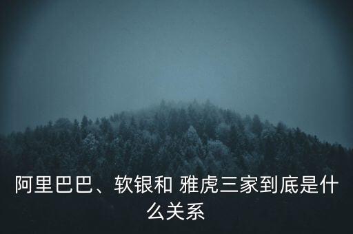 雅虎是被哪家公司收購的