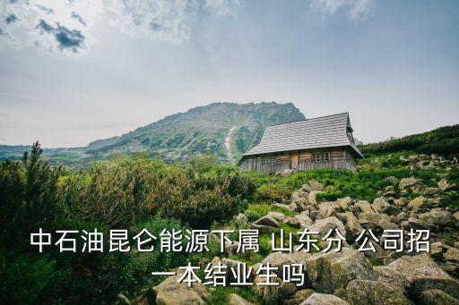 中路財險山東公司招聘,中國人保財險公司招聘信息