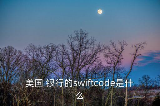 美國(guó) 銀行的swiftcode是什么