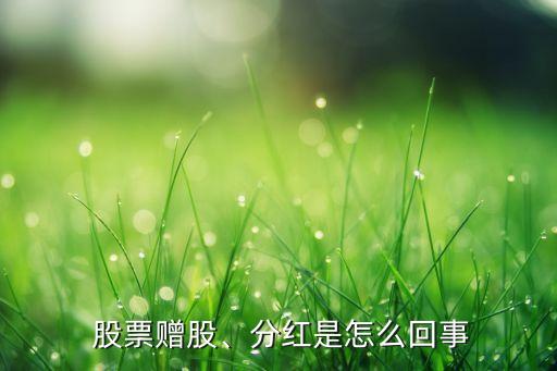  股票贈股、分紅是怎么回事