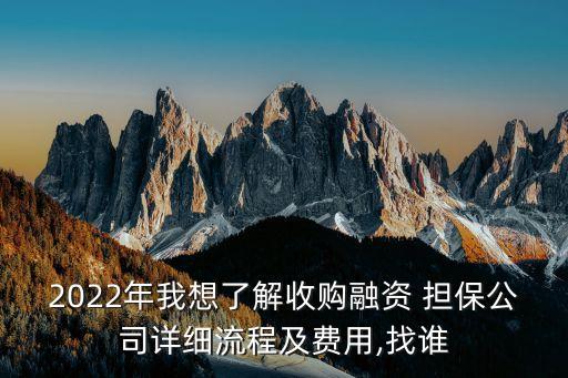 2022年我想了解收購融資 擔(dān)保公司詳細(xì)流程及費(fèi)用,找誰