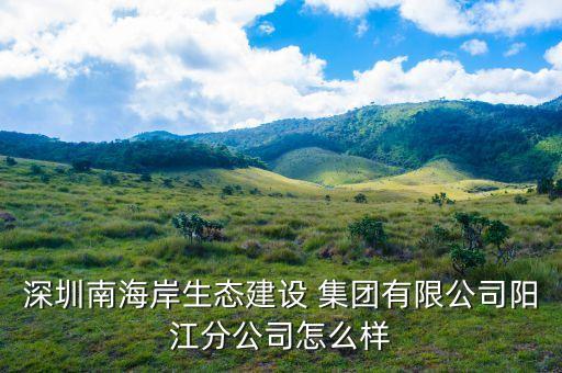 深圳南海岸生態(tài)建設(shè) 集團(tuán)有限公司陽(yáng)江分公司怎么樣