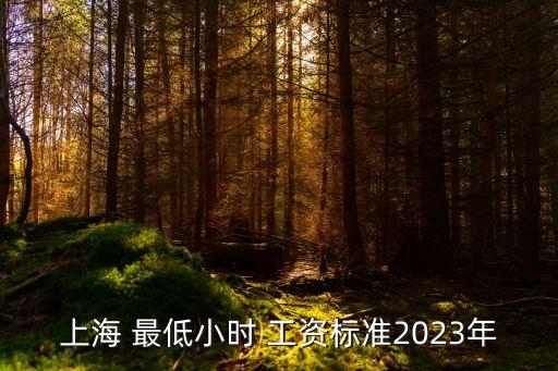 上海 最低小時 工資標準2023年