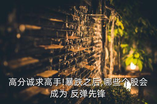 高分誠(chéng)求高手!暴跌之后,哪些個(gè)股會(huì)成為 反彈先鋒