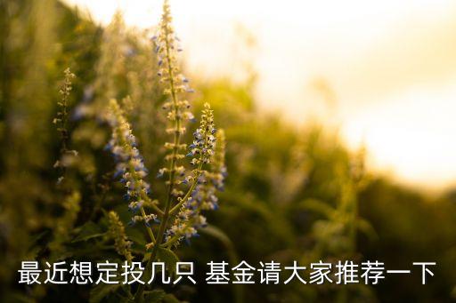 最近想定投幾只 基金請(qǐng)大家推薦一下