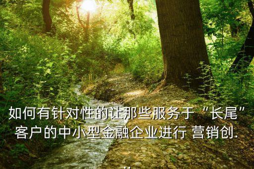 如何有針對(duì)性的讓那些服務(wù)于“長(zhǎng)尾”客戶的中小型金融企業(yè)進(jìn)行 營(yíng)銷創(chuàng)...