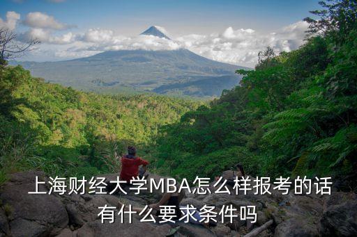  上海財經(jīng)大學(xué)MBA怎么樣報考的話有什么要求條件嗎