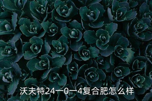  沃夫特24一0一4復(fù)合肥怎么樣