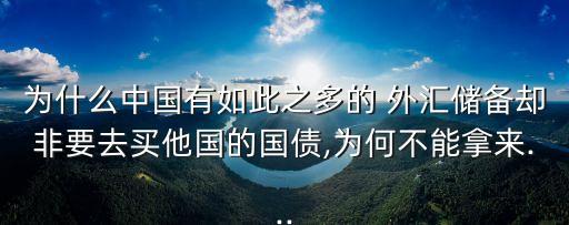 為什么中國(guó)有如此之多的 外匯儲(chǔ)備卻非要去買他國(guó)的國(guó)債,為何不能拿來(lái)...