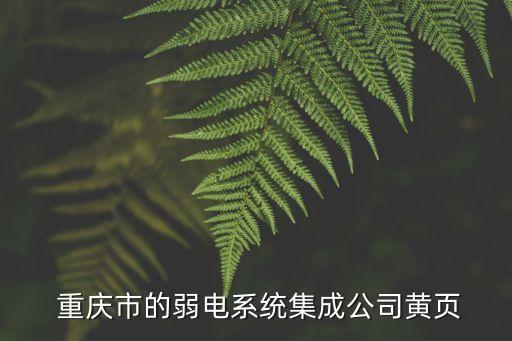  重慶市的弱電系統(tǒng)集成公司黃頁