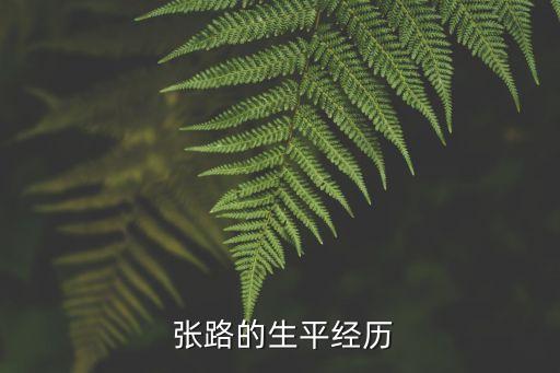  張路的生平經(jīng)歷