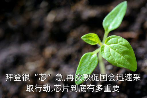 拜登很“芯”急,再次敦促國會迅速采取行動,芯片到底有多重要