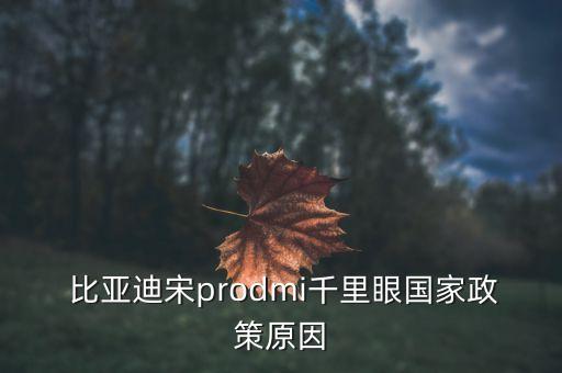 比亞迪上海補(bǔ)貼,上海比亞迪漢補(bǔ)貼政策