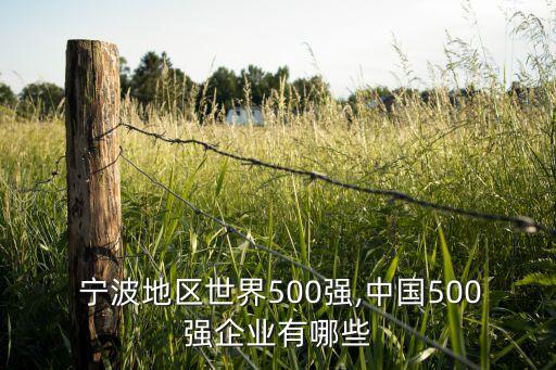  寧波地區(qū)世界500強(qiáng),中國(guó)500強(qiáng)企業(yè)有哪些