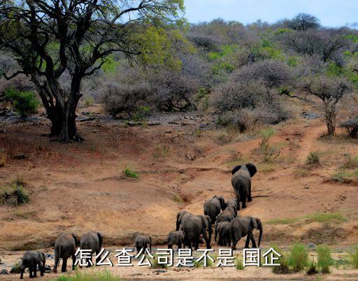 怎么查公司是不是 國(guó)企