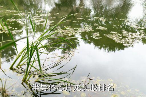 半導(dǎo)體芯片龍頭股排名