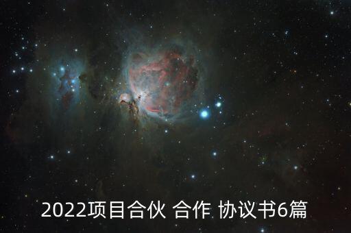 2022項(xiàng)目合伙 合作 協(xié)議書(shū)6篇