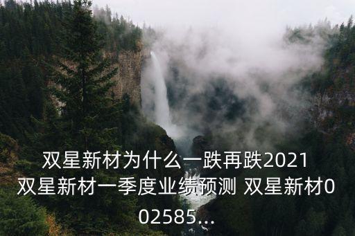  雙星新材為什么一跌再跌2021 雙星新材一季度業(yè)績(jī)預(yù)測(cè) 雙星新材002585...