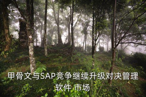 甲骨文與SAP競爭繼續(xù)升級對決管理軟件 市場