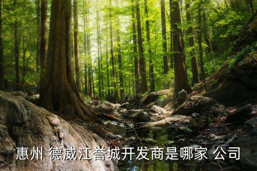 惠州 德威江譽(yù)城開發(fā)商是哪家 公司