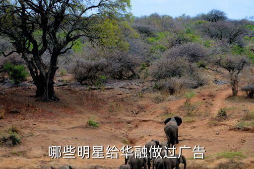 華融匯通資產管理有限公司,中國華融資產管理有限公司招聘