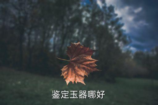 上海文交寶玉石,上海寶玉石協會會長