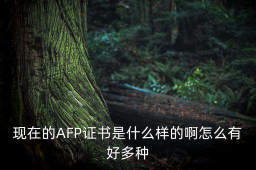 現(xiàn)在的AFP證書是什么樣的啊怎么有好多種