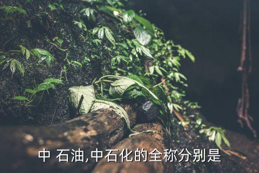 上海中油中燃石油倉儲有限公司,中油中燃石油倉儲有限公司招聘信息