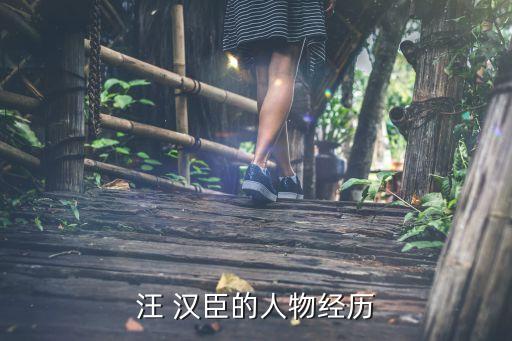 汪 漢臣的人物經歷