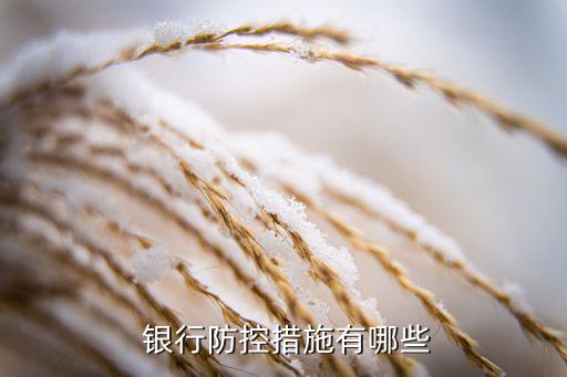 銀行如何防范風(fēng)險,銀行集中授權(quán)中心如何防范風(fēng)險