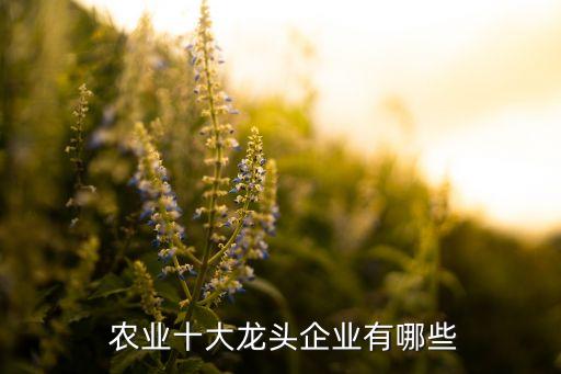  農業(yè)十大龍頭企業(yè)有哪些