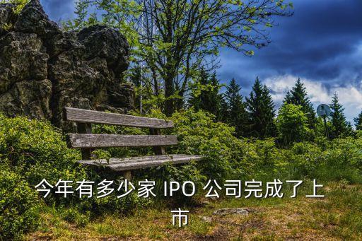 今年有多少家 IPO 公司完成了上市