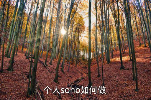 SOHO中國(guó)如何注冊(cè)出來(lái)的,soho中國(guó)注冊(cè)地