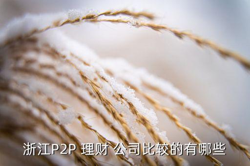 浙江P2P 理財(cái) 公司比較的有哪些