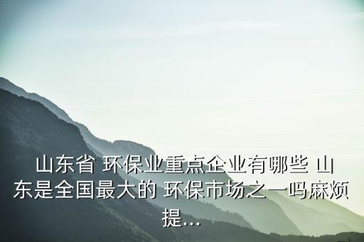  山東省 環(huán)保業(yè)重點企業(yè)有哪些 山東是全國最大的 環(huán)保市場之一嗎麻煩提...